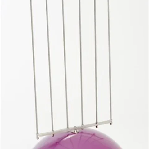 Bass Harp